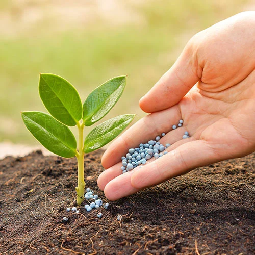 Fertilizers