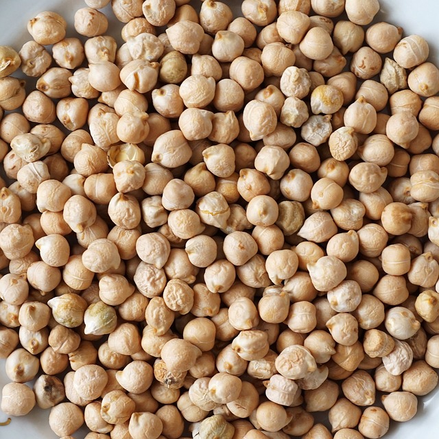 Chickpea