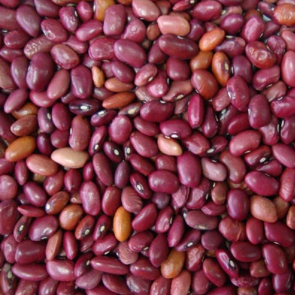 Red Kidney Beans