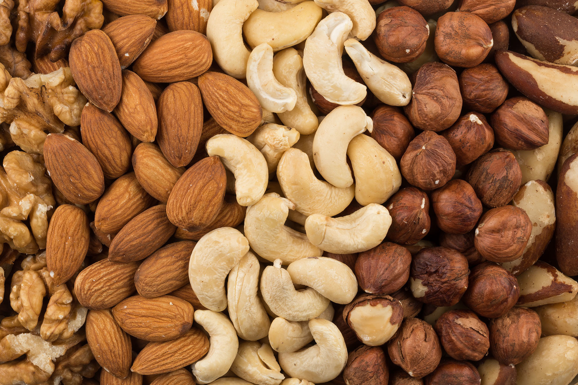 Nuts & Kernels