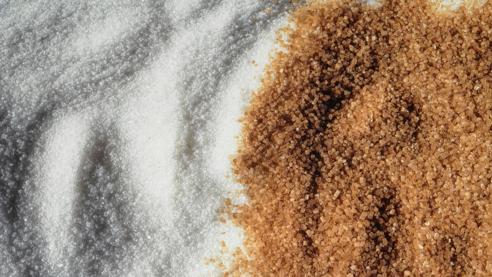 Sugar